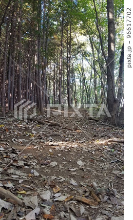 埼玉県長瀞町宝登山長瀞アルプス山道　 96617702