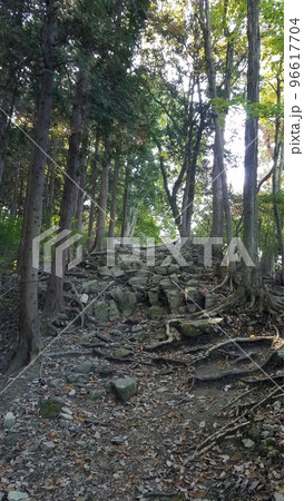 埼玉県長瀞町宝登山　長瀞アルプス山道 96617704
