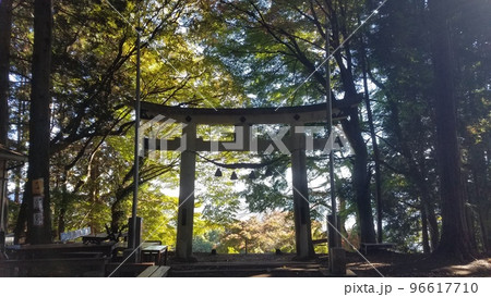 埼玉県長瀞町　宝登山奥宮の鳥居 96617710
