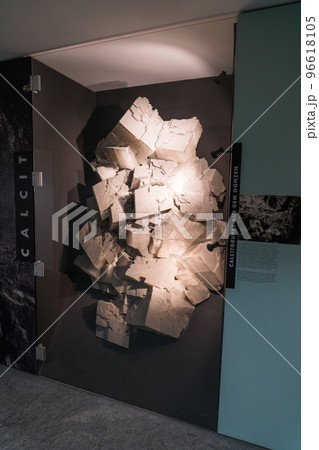 ベルン自然史博物館の展示品 96618105