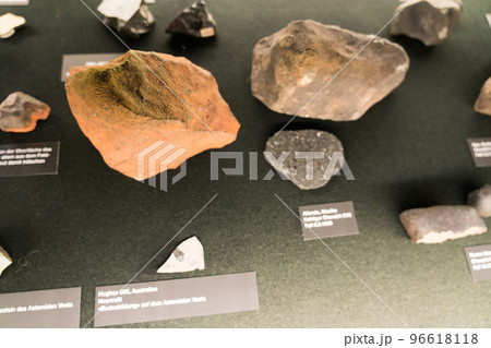 ベルン自然史博物館の展示品 96618118