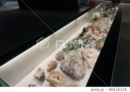 ベルン自然史博物館の展示品 96618128