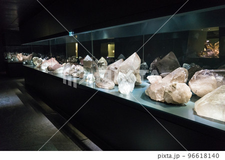 ベルン自然史博物館の展示品 96618140