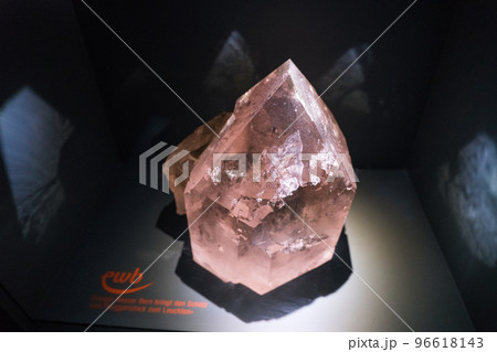 ベルン自然史博物館の展示品 96618143