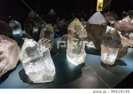 ベルン自然史博物館の展示品 96618146