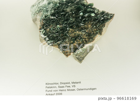ベルン自然史博物館の展示品 96618169
