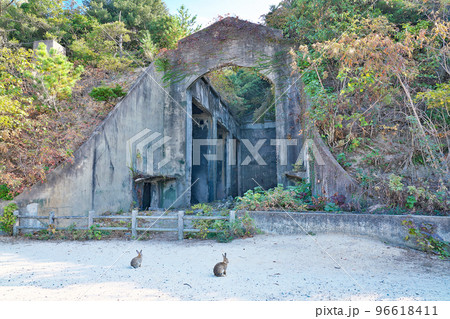 【大久野島の長浦毒ガス貯蔵庫跡 (軍事施設 遺跡)】 広島県竹原市忠海町 【大久野島の長浦毒ガス貯蔵庫跡 (軍事施設 遺跡)】 広島県竹原市忠海町 96618411