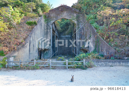 【大久野島の長浦毒ガス貯蔵庫跡 (軍事施設 遺跡)】 広島県竹原市忠海町 【大久野島の長浦毒ガス貯蔵庫跡 (軍事施設 遺跡)】 広島県竹原市忠海町 96618413