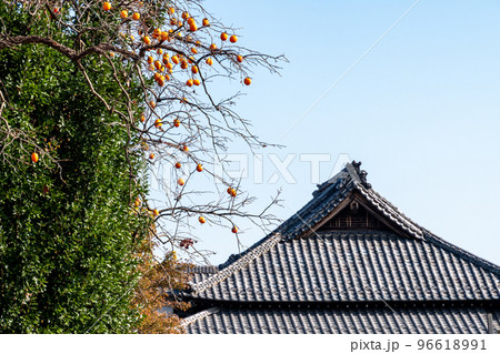 柿と寺 柿と寺 96618991
