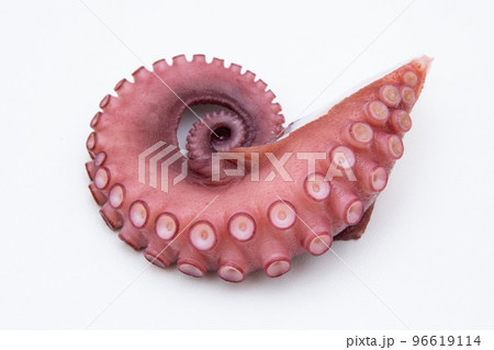 茹蛸（ゆでだこ） 96619114