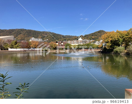 快晴の池 快晴の池 96619413