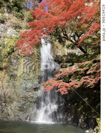 快晴の滝と紅葉 96619419