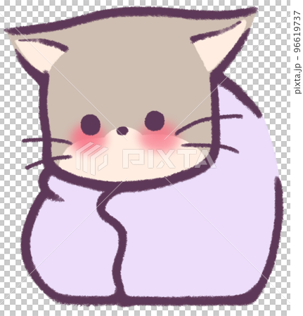 毛布にくるまってこちらを見上げる灰色のきつね 96619737