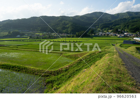 棚田 棚田 96620563