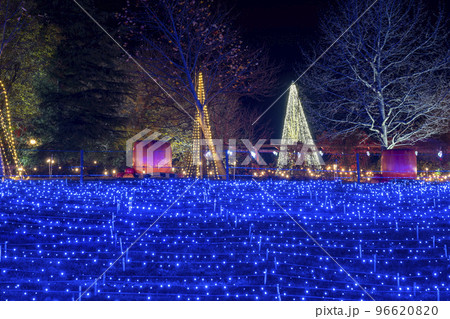 高原のイルミネーションイベント　宮城県加美町 96620820