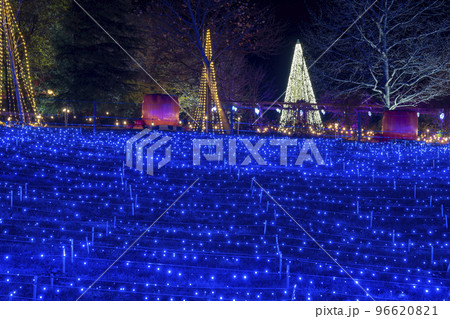 高原のイルミネーションイベント　宮城県加美町 96620821