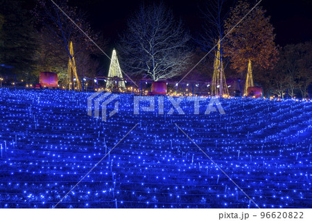 高原のイルミネーションイベント　宮城県加美町 96620822