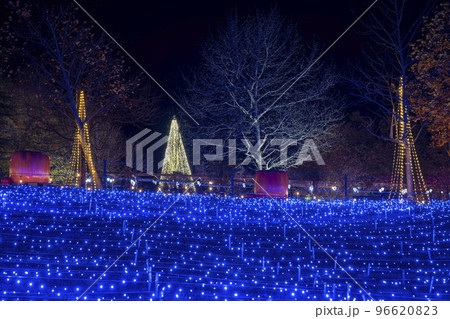 高原のイルミネーションイベント　宮城県加美町 96620823