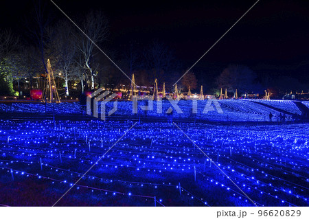 高原のイルミネーションイベント 宮城県加美町 高原のイルミネーションイベント 宮城県加美町 96620829