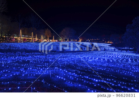 高原のイルミネーションイベント　宮城県加美町 96620831