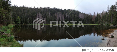 A beautiful reflection of a forest of green trees and blue sky in the lake A beautiful reflection of a forest of green trees and blue sky in the lake 96620950