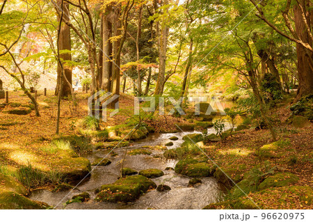 成田山公園紅葉まつり　小川 96620975