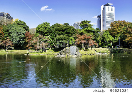 東京都　小石川後楽園　大泉水周辺　紅葉の風景　国の特別史跡 96621084