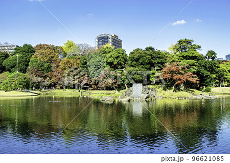 東京都　小石川後楽園　大泉水周辺　紅葉の風景　国の特別史跡 96621085
