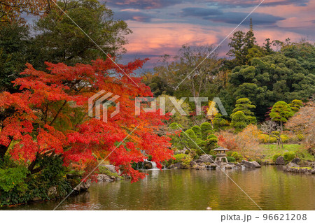 成田山公園紅葉まつり　夕景 96621208