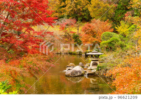 成田山公園紅葉まつり 成田山公園紅葉まつり 96621209