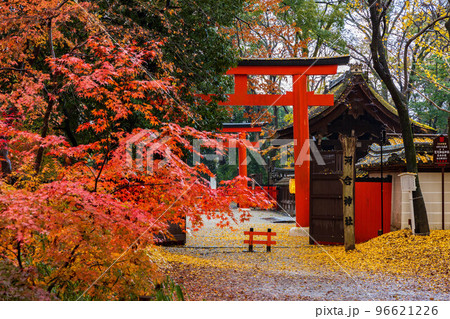 古都京都の秋 雨と紅葉の河合神社 古都京都の秋 雨と紅葉の河合神社 96621226