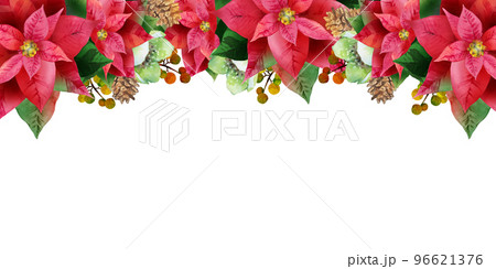 赤のポインセチアとクリスマスローズの背景イラスト 96621376