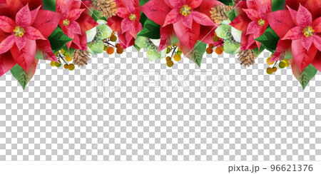 紅一品紅和聖誕玫瑰背景圖 紅一品紅和聖誕玫瑰背景圖 96621376