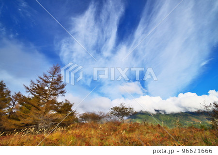 蓼科高原 八子ガ峰 蓼科高原 八子ガ峰 96621666
