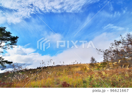 蓼科高原 八子ガ峰 蓼科高原 八子ガ峰 96621667