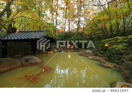 日本の秘湯 新清館 日本の秘湯 新清館 96621697