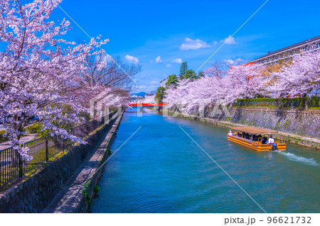 京都　岡崎疏水の桜と十石舟 96621732