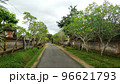A picturesque road on the island of Bali. The mysterious trails of a fairy-tale island 96621793