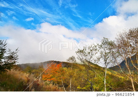 蓼科高原 八子ガ峰 蓼科高原 八子ガ峰 96621854