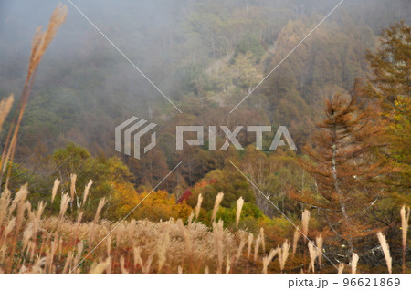 蓼科高原 八子ガ峰 蓼科高原 八子ガ峰 96621869