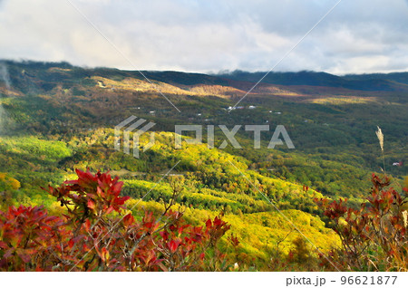 蓼科高原　八子ガ峰 96621877