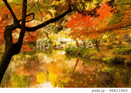 逆さ紅葉 成田山公園紅葉まつり 逆さ紅葉 成田山公園紅葉まつり 96621904