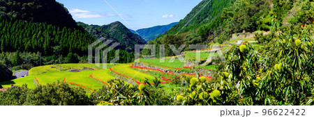 最高に美しい秋晴れを背景に観光名所：日本棚田百選・番所の棚田(日本・九州・熊本県山鹿市) 96622422