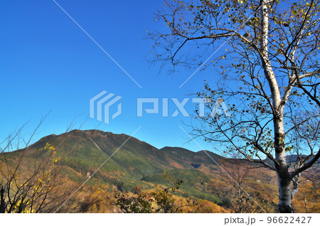 蓼科高原 八子ガ峰 蓼科高原 八子ガ峰 96622427