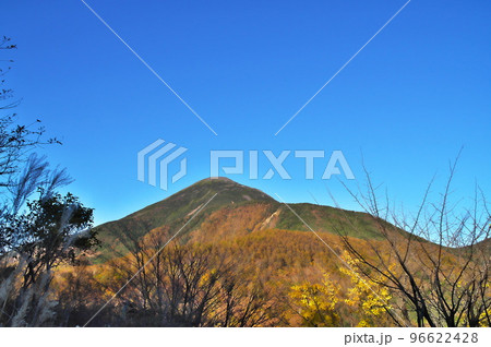 蓼科高原　八子ガ峰 96622428