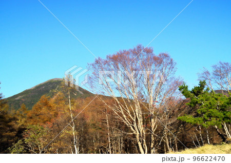 蓼科高原　八子ガ峰 96622470