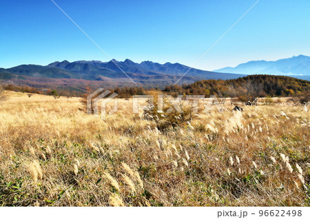 蓼科高原　八子ガ峰 96622498