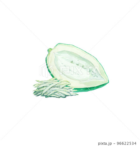 水彩絵の具で描いた青パパイヤ 96622534