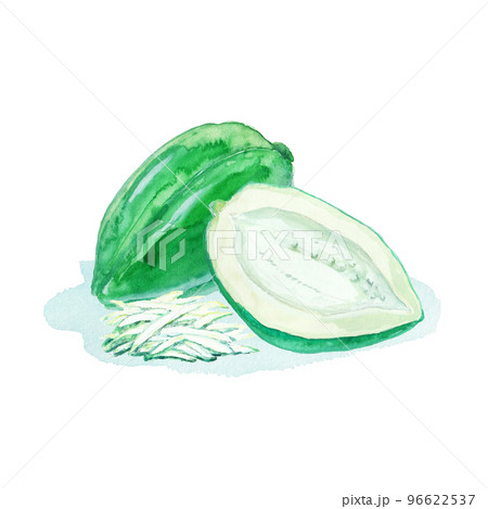 水彩絵の具で描いた青パパイヤ 水彩絵の具で描いた青パパイヤ 96622537