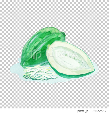 水彩絵の具で描いた青パパイヤ 水彩絵の具で描いた青パパイヤ 96622537